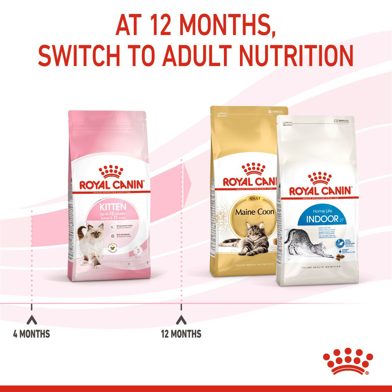 FELINE HEALTH NUTRITION KITTEN 2 KG
