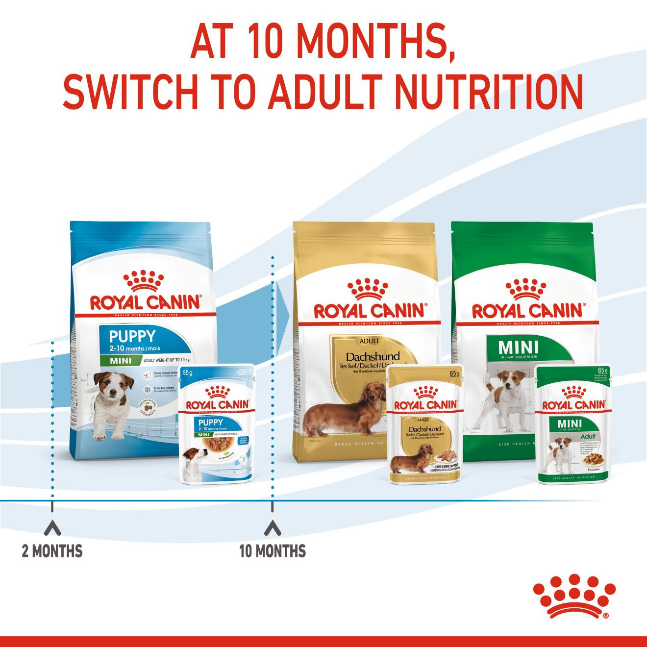 SIZE HEALTH NUTRITION MINI PUPPY (WET FOOD - POUCHES)