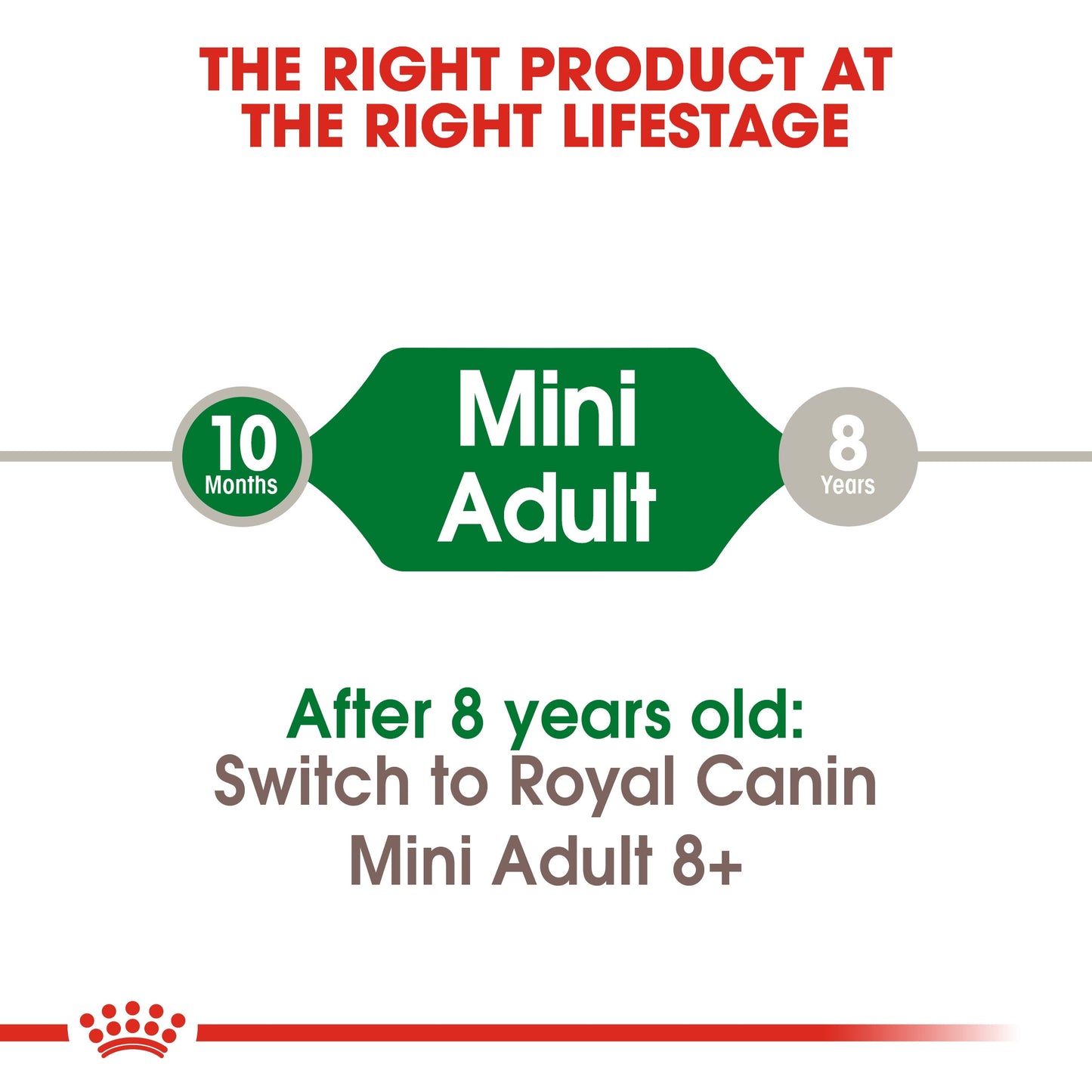 SIZE HEALTH NUTRITION MINI ADULT 8 KG