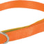 NYLON COLLAR 30CM/10MM