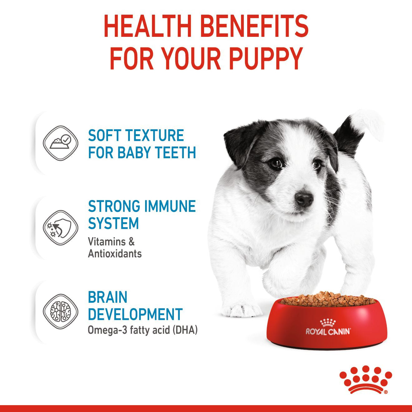 SIZE HEALTH NUTRITION MINI PUPPY (WET FOOD - POUCHES)