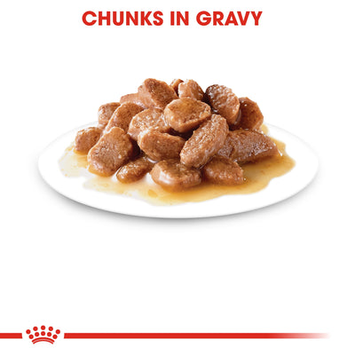 FELINE CARE NUTRITION HAIRBALL GRAVY (WET FOOD - POUCHES)