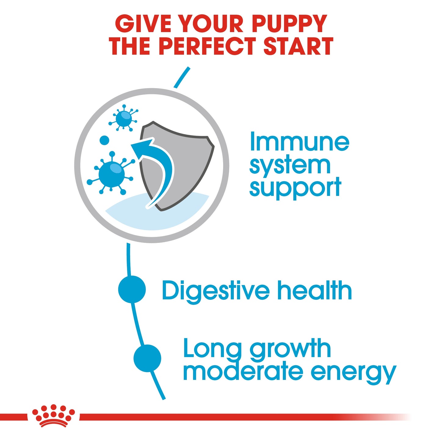 SIZE HEALTH NUTRITION MAXI PUPPY (WET FOOD - POUCHES)