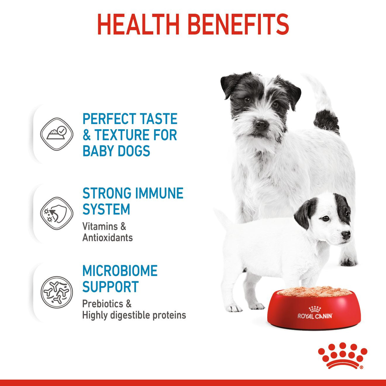 CANINE HEALTH NUTRITION STARTER MOUSSE (WET FOOD - CANS)